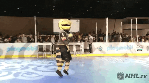 Ice Hockey Dancing GIF by NHL