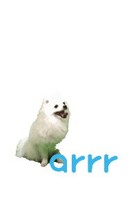 아르르 Sticker by arrr_official