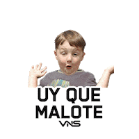 vnsrd quemalote Sticker by VNS Nutrition