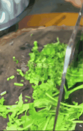 joovitorbraguinmarangoni giphyupload GIF