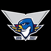 ThunderbirdsAHL  GIF