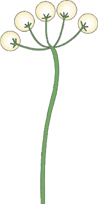 iow2019 isle of wight 2019 Sticker by Isle Of Wight Festival