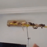 satisfying GIF