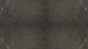 Art Film GIF by jorgemariozuleta