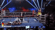top rank knockout GIF by Top Rank Boxing