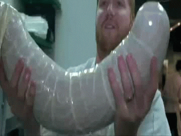 maggot GIF