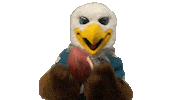 Football Swoop Sticker by Philadelphia Eagles