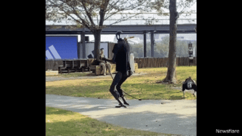 archeusledoux giphygifmaker GIF
