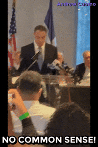 New York Vote GIF by Andrew Cuomo