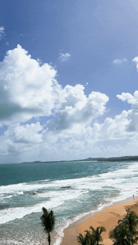 Puerto Rico Summer GIF