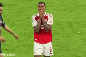 Brazil Champion GIF
