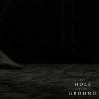 Irish Film Movie GIF by Wildcard Distribution