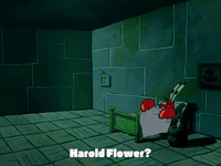 season 3 GIF by SpongeBob SquarePants
