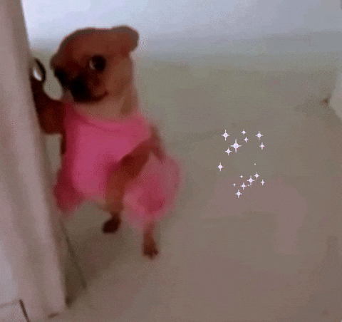 Give Me GIF
