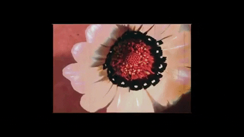 Music Video Vintage GIF