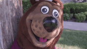missouristate missouri state missouri state bears missouristate missouri state university GIF