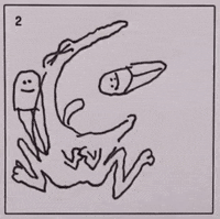 Film Festival Frog GIF by La Guarimba Film Festival