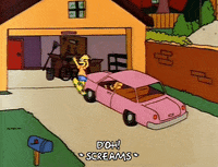 homer simpson GIF
