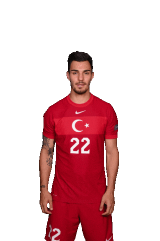 Euro 2020 Soccer Sticker by UEFA