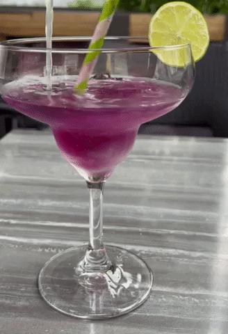 anitasaur giphygifmaker cocktail GIF