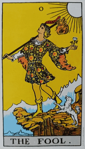 gryamila giphygifmaker GIF