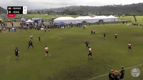 flikulti ultimate frisbee flik GIF
