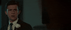 Scared Tom Holland GIF by Spider-Man