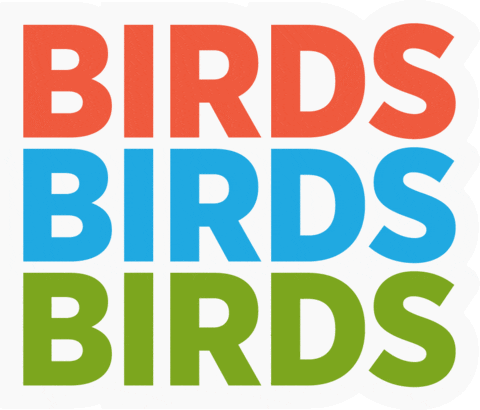 Love Birds Typography GIF by National Audubon Society