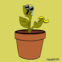 Animation Domination Lol GIF by gifnews