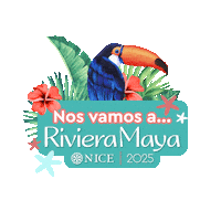 Sticker by Niceoficialmx