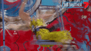 Big Brother Spinning GIF by Big Brother Australia