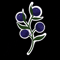 bom_artstudio flower plant fruit leaf GIF