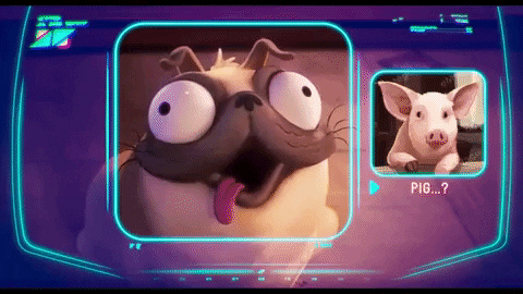 k1k1chan giphygifmaker dog pig pug GIF