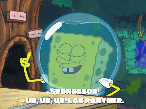 season 7 episode 26 GIF by SpongeBob SquarePants