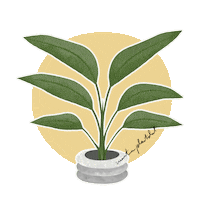 Houseplant Strelitzia Sticker