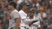 Major League Baseball Sport GIF by MLB