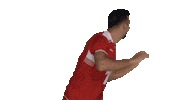 tvforgtr volleyball voleybol tvf eurovolley Sticker