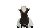 Look Up Borussia Moenchengladbach Sticker by Bundesliga