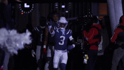 Football Nfl GIF by New England Patriots