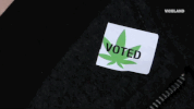 viceland GIF by WEEDIQUETTE