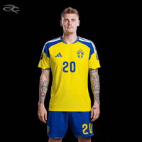 Fifa World Cup Uefa GIF by Respective