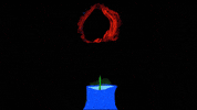 Red Rose Art GIF by Elvis Costello