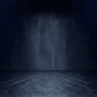 Internet Voting GIF by Nexus