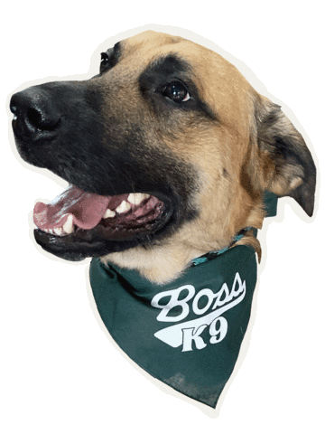 Love Dogs Happy Dog Sticker by Boss K9