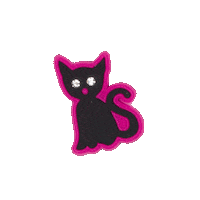 Funny Snaps Sticker by Scout