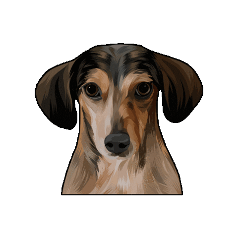 Hoss Sticker by CardozaRealEstateGroup