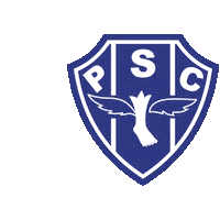 campeao dos campeoes psc Sticker by Paysandu Sport Club