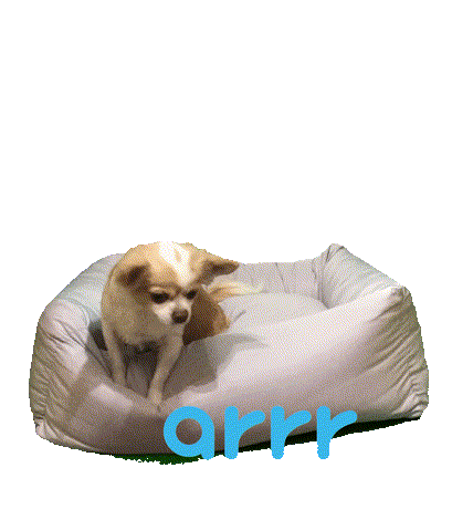 아르르 Sticker by arrr_official