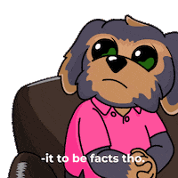 100 Percent Yes Sticker by BoDoggos