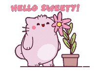 Cat Hello Sticker by Pembe